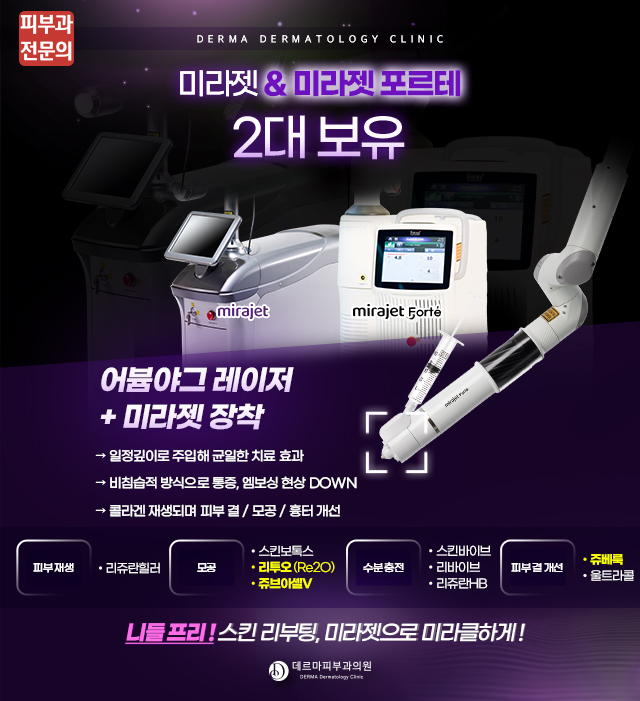 미라젯 2대 도입