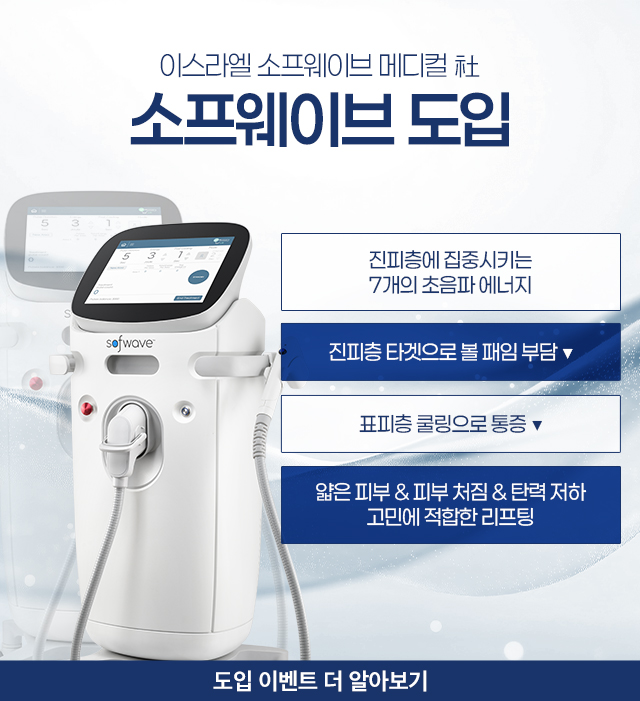 소프웨이브