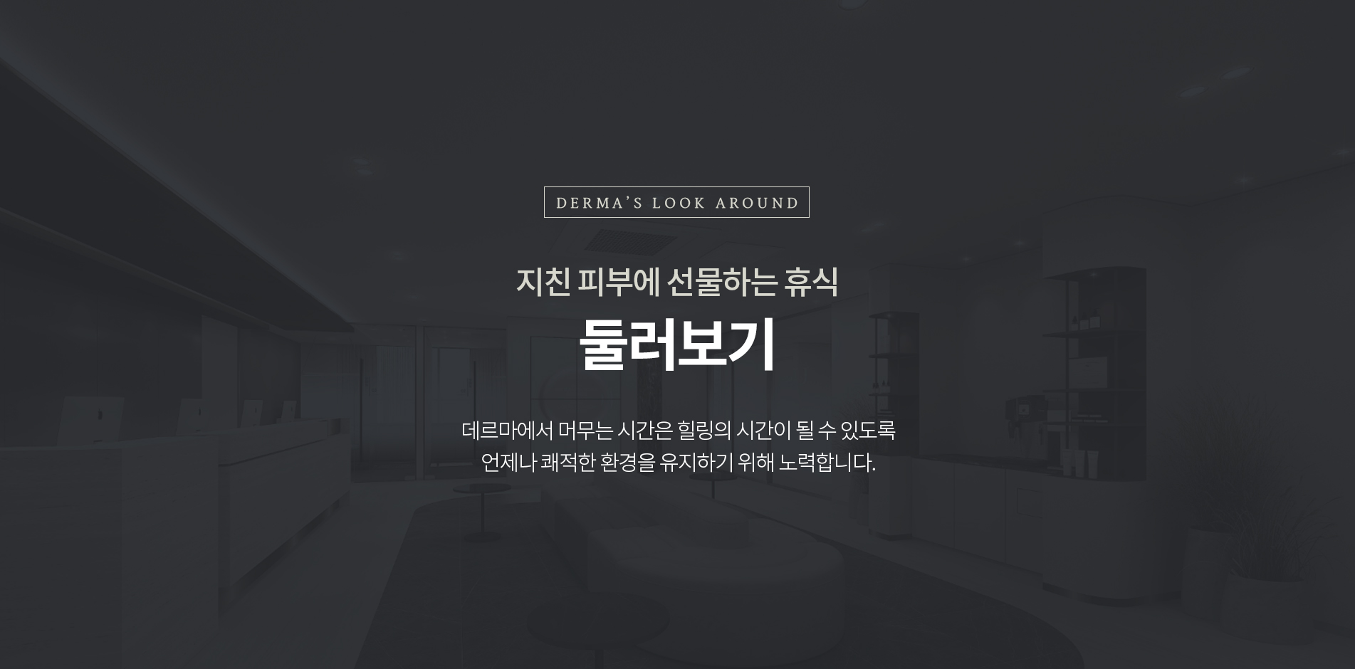 둘러보기