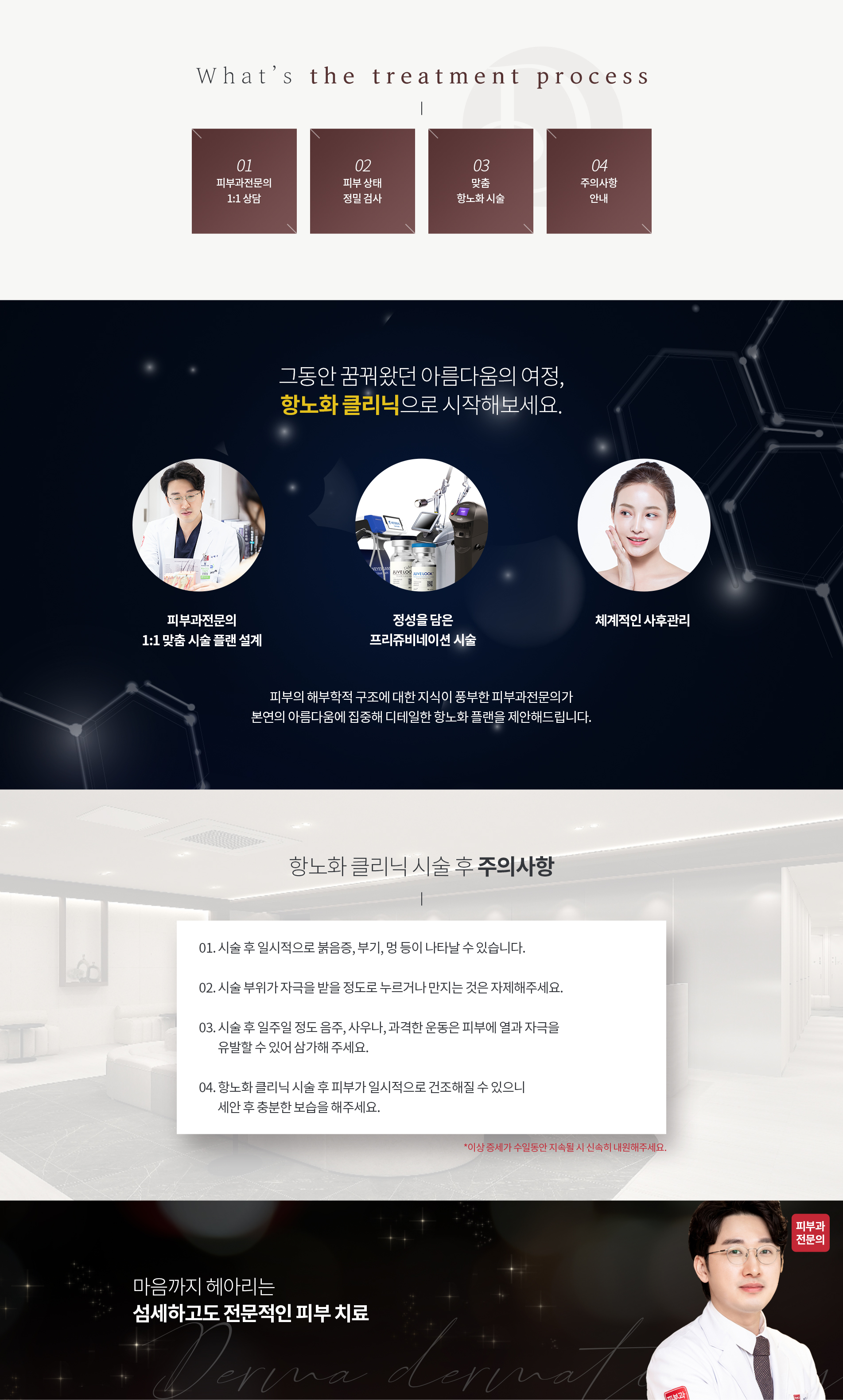 항노화 02