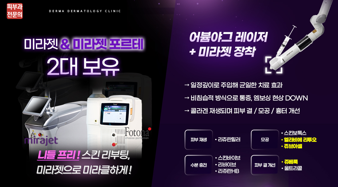 미라젯 2대 도입