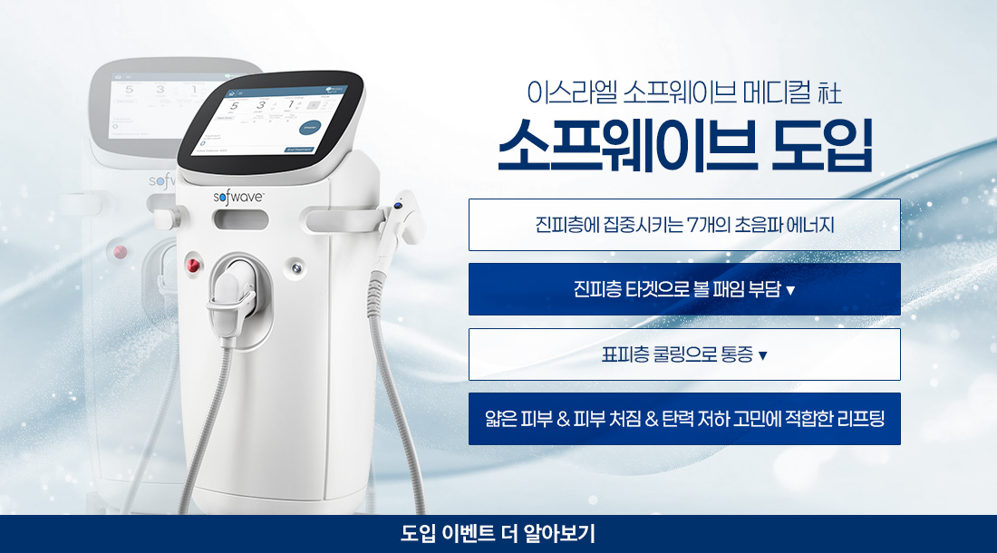 소프웨이브