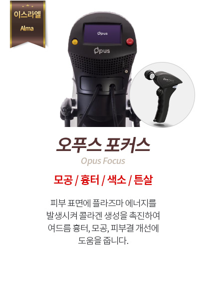 오푸스 포커스